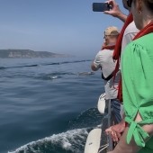 First Seabird & Whale Boat Trips - 2026 Season