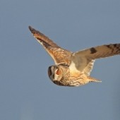 The Autumnal Magic of Spurn