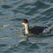 Where to Winter Wander - Scarborough seafront