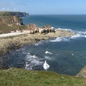 Rarity Garden - Autumn 2025 Reader Reviews