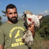 Direct Action: The Committee Against Bird Slaughter (CABS)