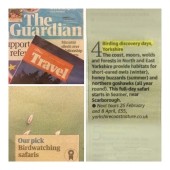 Guardian Pick of Best Birdwatching Safaris