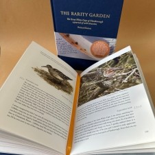 The Rarity Garden