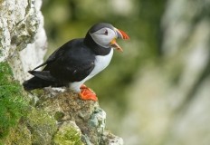 Above And Below Photography Gift Voucher