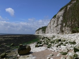 Flamborough Head