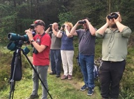 Tailor Made Birding and Wildlife Tours