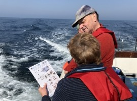 Seabirds And Whales Short Twilight Trips Gift Voucher