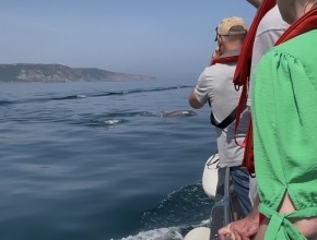 First Seabird & Whale Boat Trips - 2026 Season