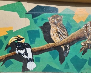 International Travel