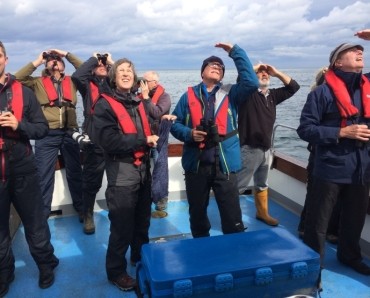 Seabird & Whale Adventures 2026