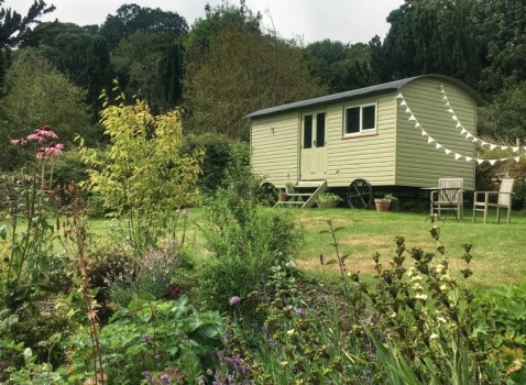 Gumboots & Wellingtons