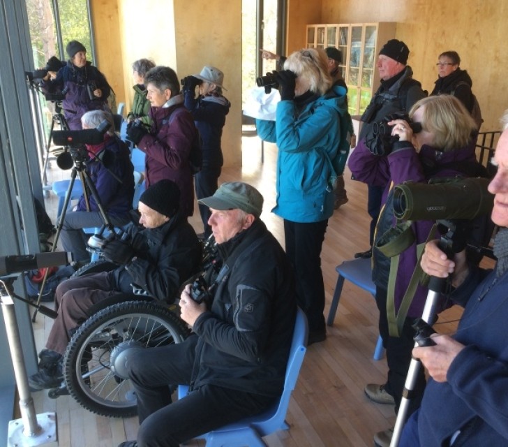 Accessibility Statement And General Information