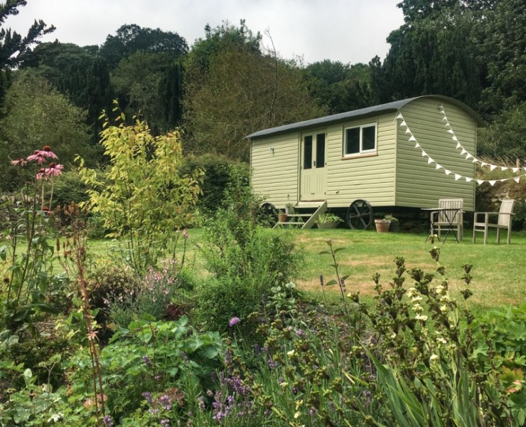 Gumboots & Wellingtons