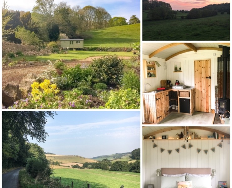 Gumboots & Wellingtons