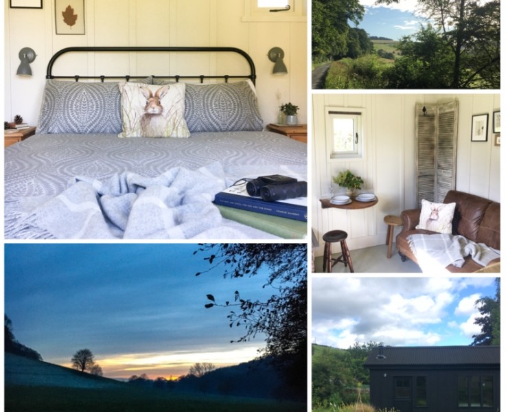 Gumboots & Wellingtons