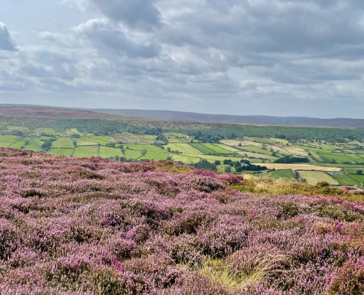 Church House Farm, Danby, Whitby