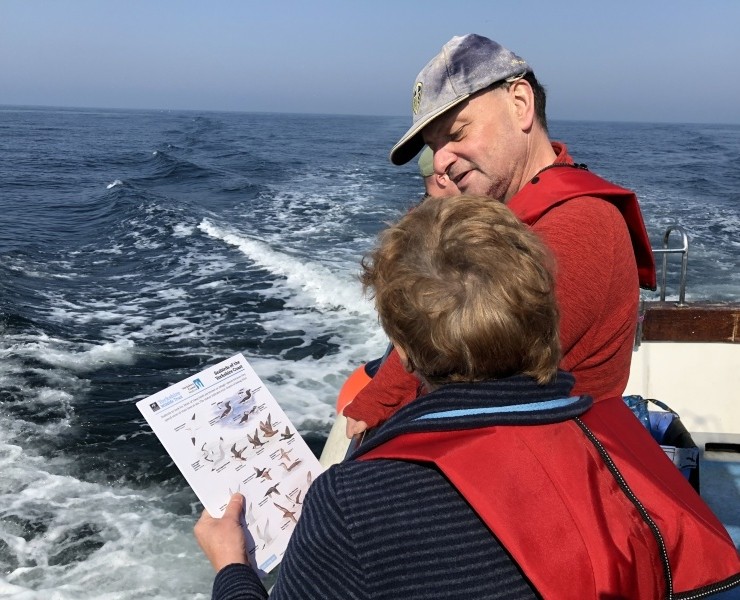 Seabirds And Whales - Twilight Trips 2026