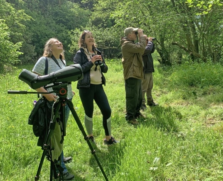 Birdwatching Course - Spring 2026