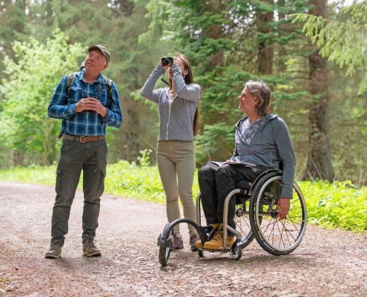 Bird Sound Safari - Forests 2026