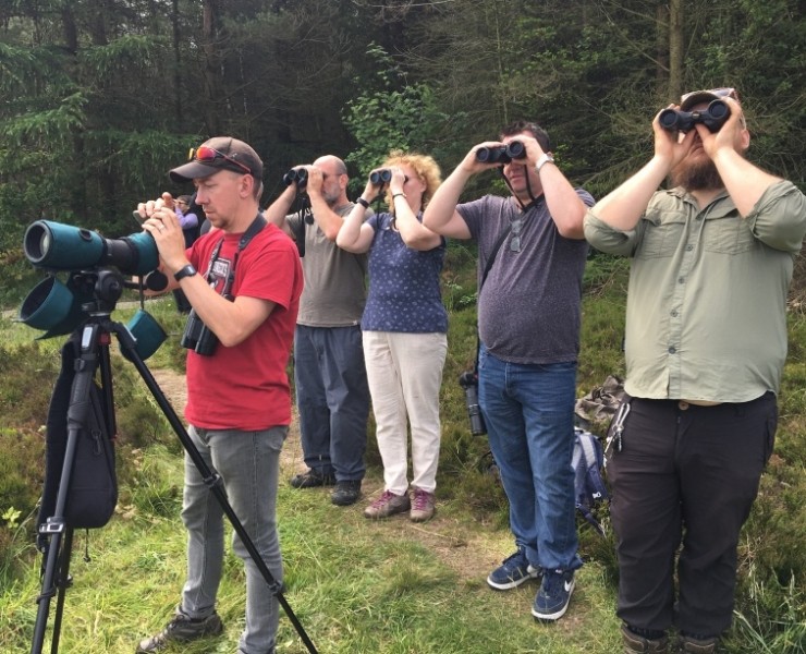 Tailor Made Birding And Wildlife Tours