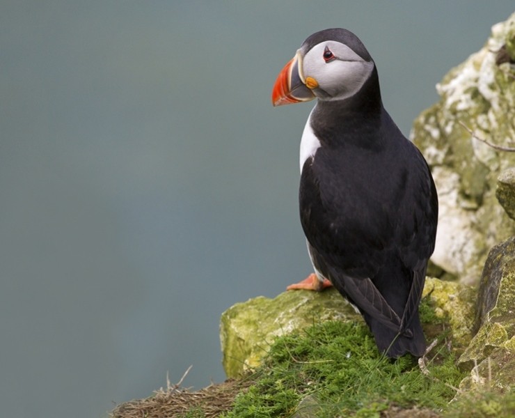 2026 Wildlife Photography For Beginners Workshop