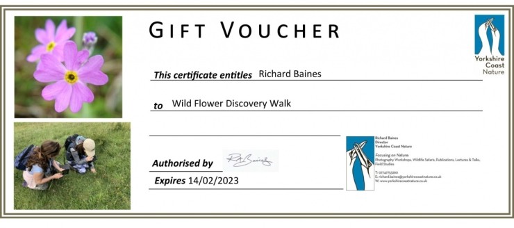 Wild Flower Discovery Walks