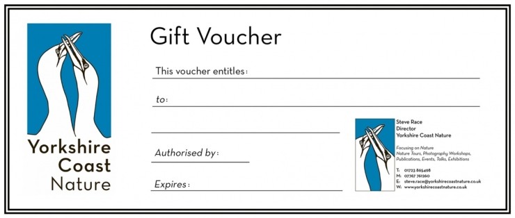 Diving Gannet Photography Spectacular Gift Voucher