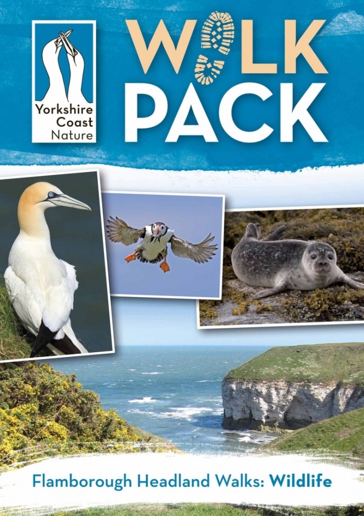 Flamborough Wildlife Walks