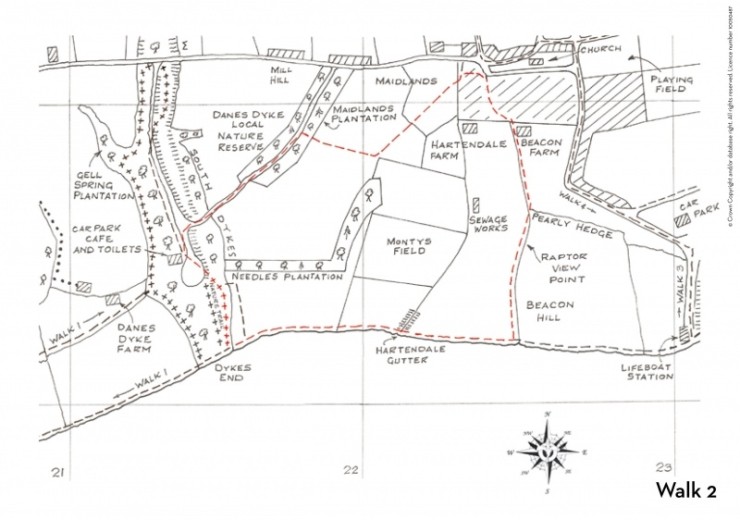 Flamborough Wildlife Walks