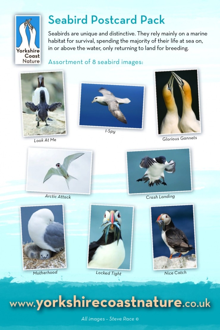 Seabird Pack