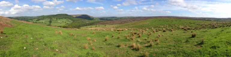 Wide open spaces and tranquillity. Hawnby Hill in the North York Moors National Park © Richard Baines