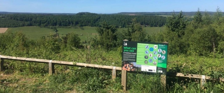 Wykeham Raptor View Point