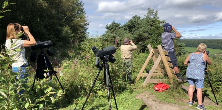 Wykeham Raptor View Point YCN Birding Group 2019
