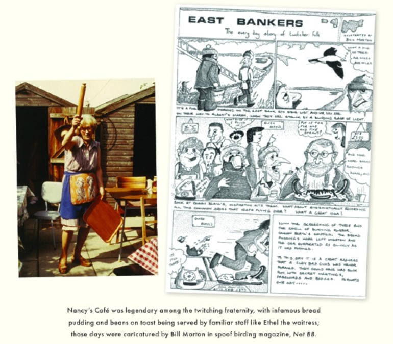 Nancy's Cafe image © Caught by the River web site