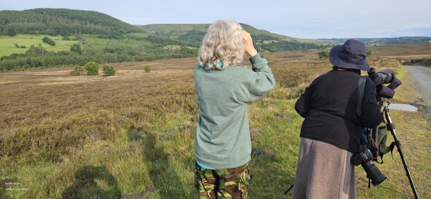  Firetail Safari - Moorland Birding - North Yorkshire Spring 2025 © Richard Baines