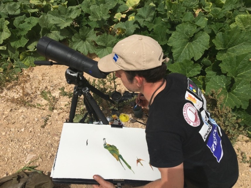Darren Woodhead painting the Blue-cheeked Bee eater © Richard Baines