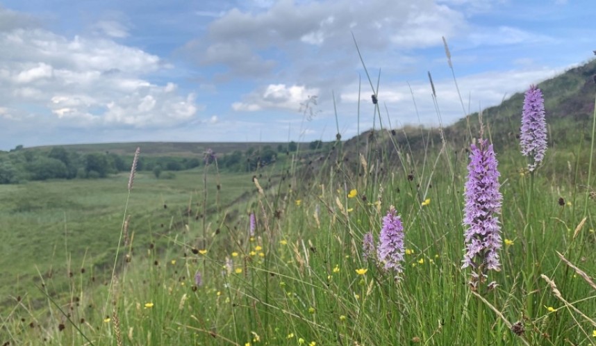 Fen Bog view © Richard Baines