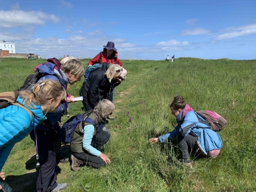 YCN Wild Flower Walk at Flamborough with Claire Bending leading the group © Richard Baines