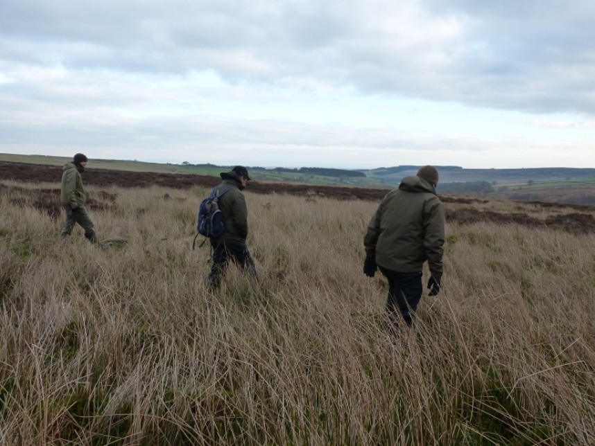The RSPB team searching for evidence © RSPB Species Investigation