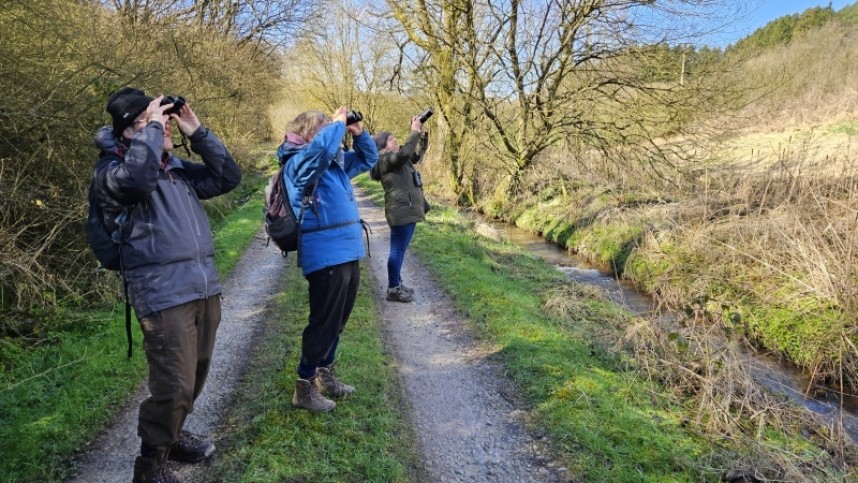 Watching Goshawks on a Yorkshire Coast Nature Goshawk Safari March 2024 © Richard Baines