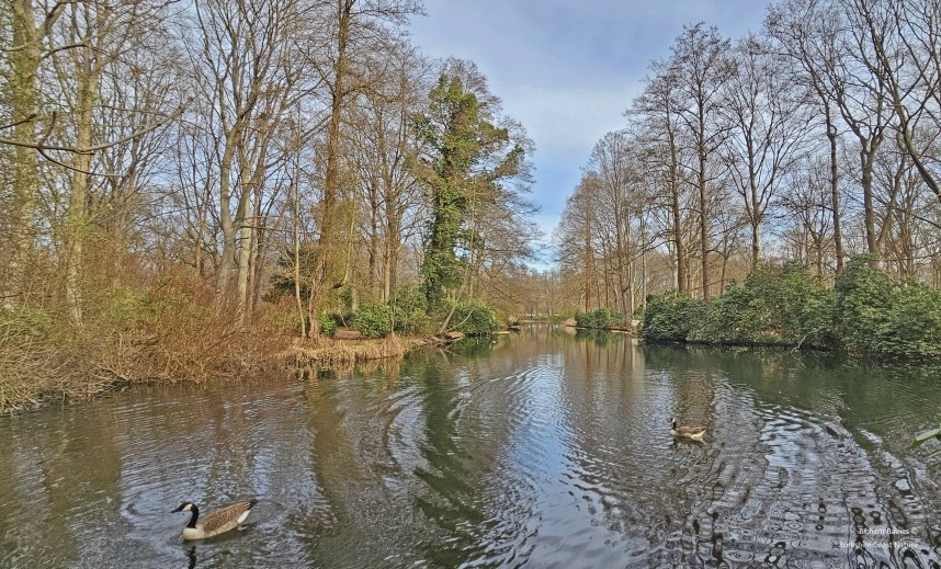 Tiergarten - Berlin March 2024 © Richard Baines
