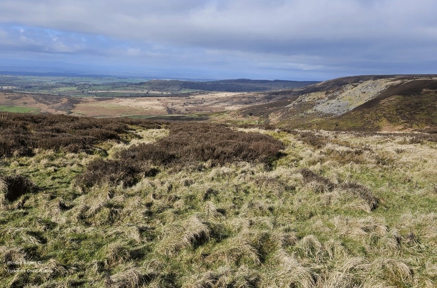 Kepwick moor looking west - March 2024 © Richard Baines