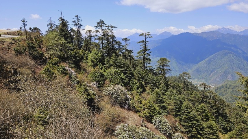 Chele La © Richard Baines