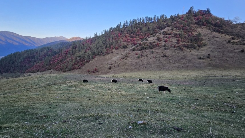 Pobjekha - Pele La © Richard Baines