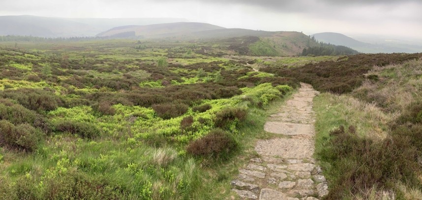 Gold Hill North Yorkshire © Jo Ruth