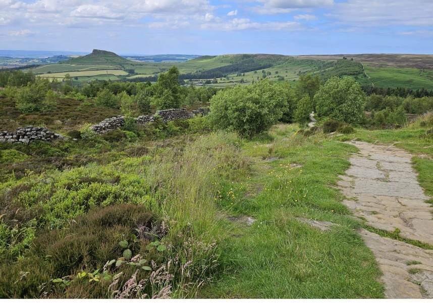 The path from Captain Cooks Monument to Gribdale Gate looking north to Roseberry Topping © Richard Baines