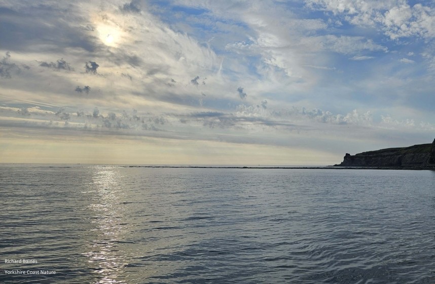 Looking south from Staithes harbour at 7am 19 July 2024