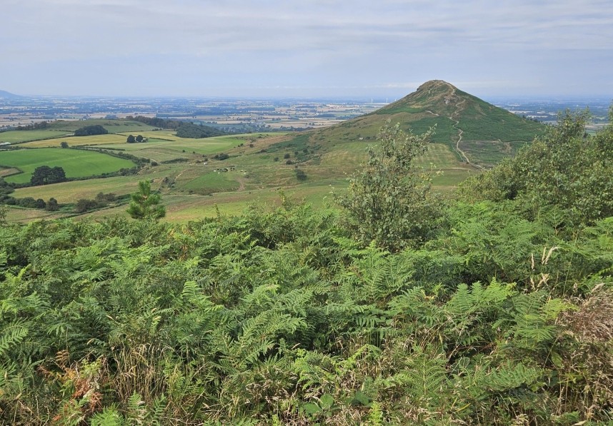 Roseberry Topping July 2024 © Richard Baines