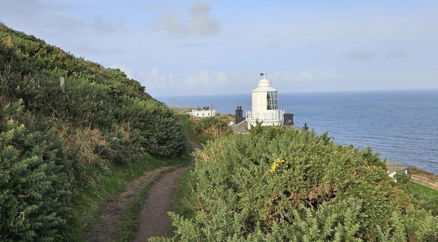 Whitby Gog Station and Light - 12 Nov 2024 © Richard Baines