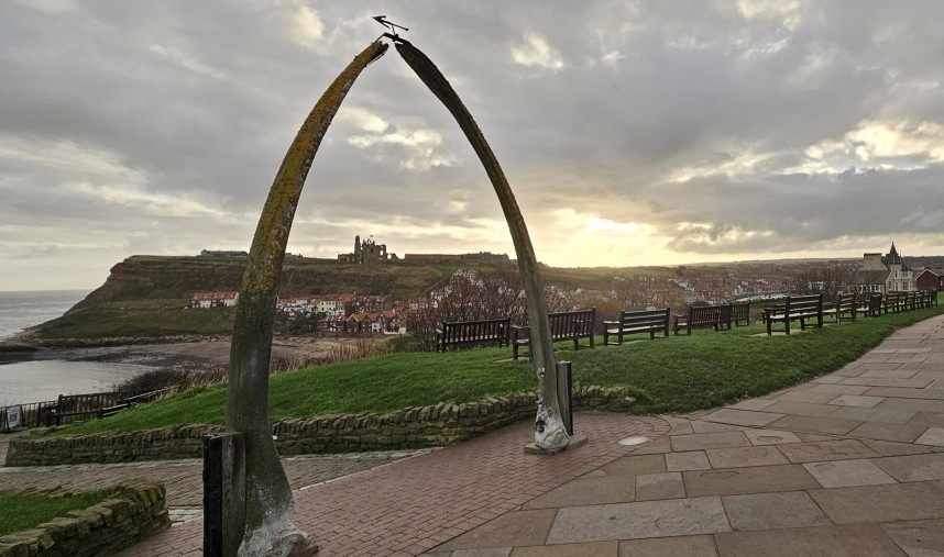 Whitby whale bones 12 November 2024 © Richard Baines